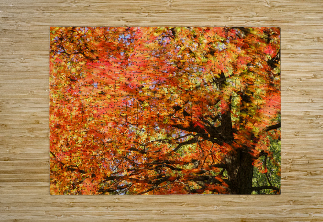 Tree on Fire Kelley McClure Puzzle printing
