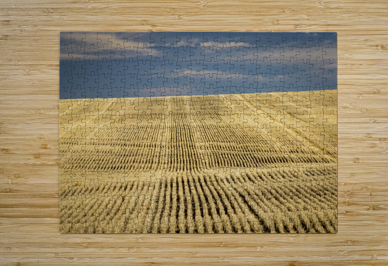 South Dakota Farm Country Kelley McClure Puzzle printing