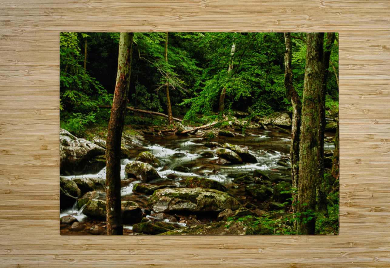 Smoky Mountain Stream Tennessee Kelley McClure Puzzle printing