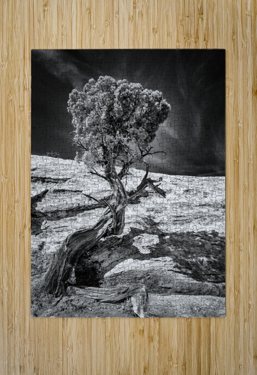 Weathered Juniper in Arches National Park Kelley McClure Puzzle printing