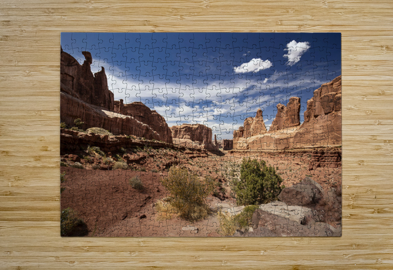 Arches National Park Wall Street Kelley McClure Puzzle printing