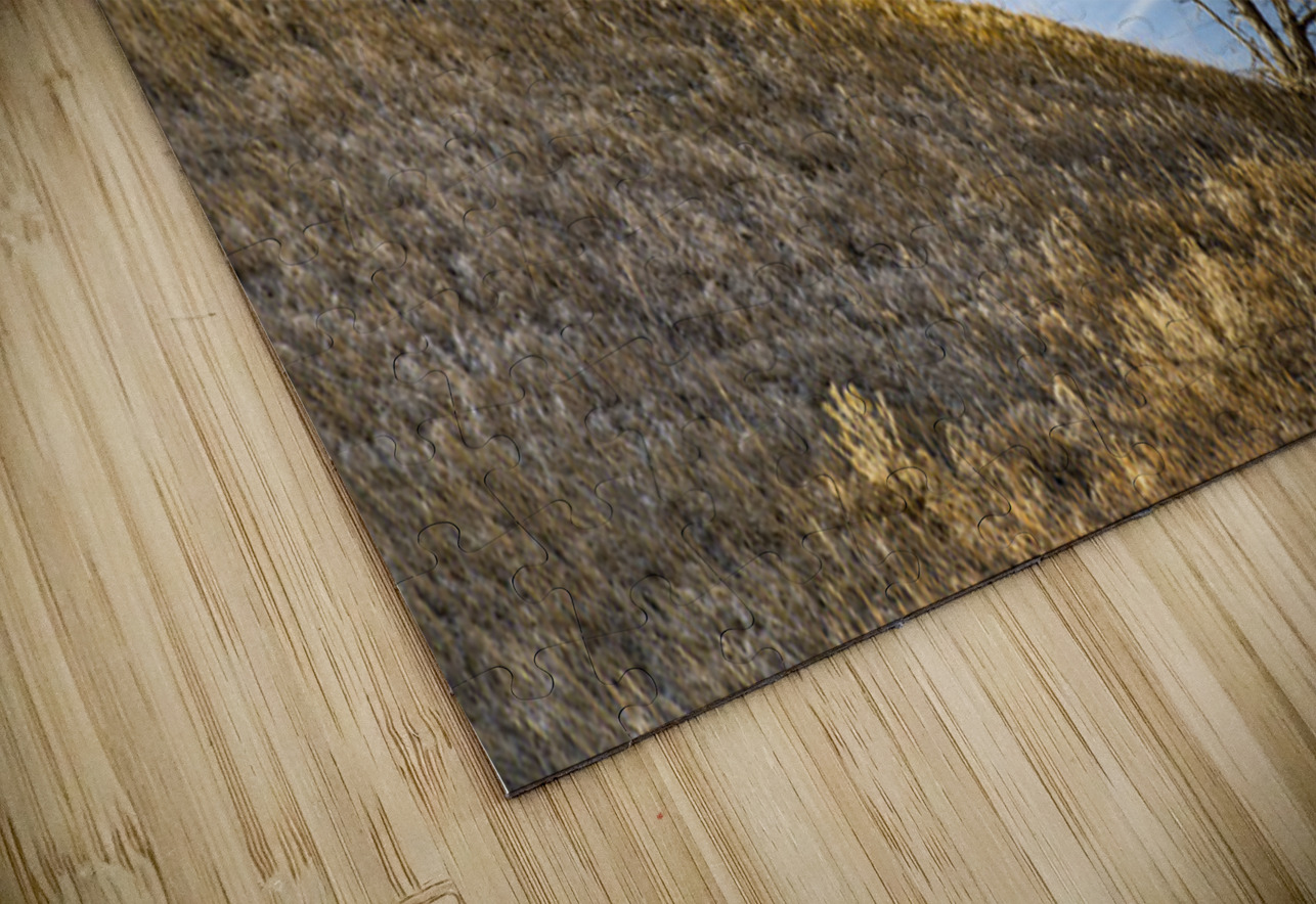 Slanted Tree Kelley McClure Puzzle