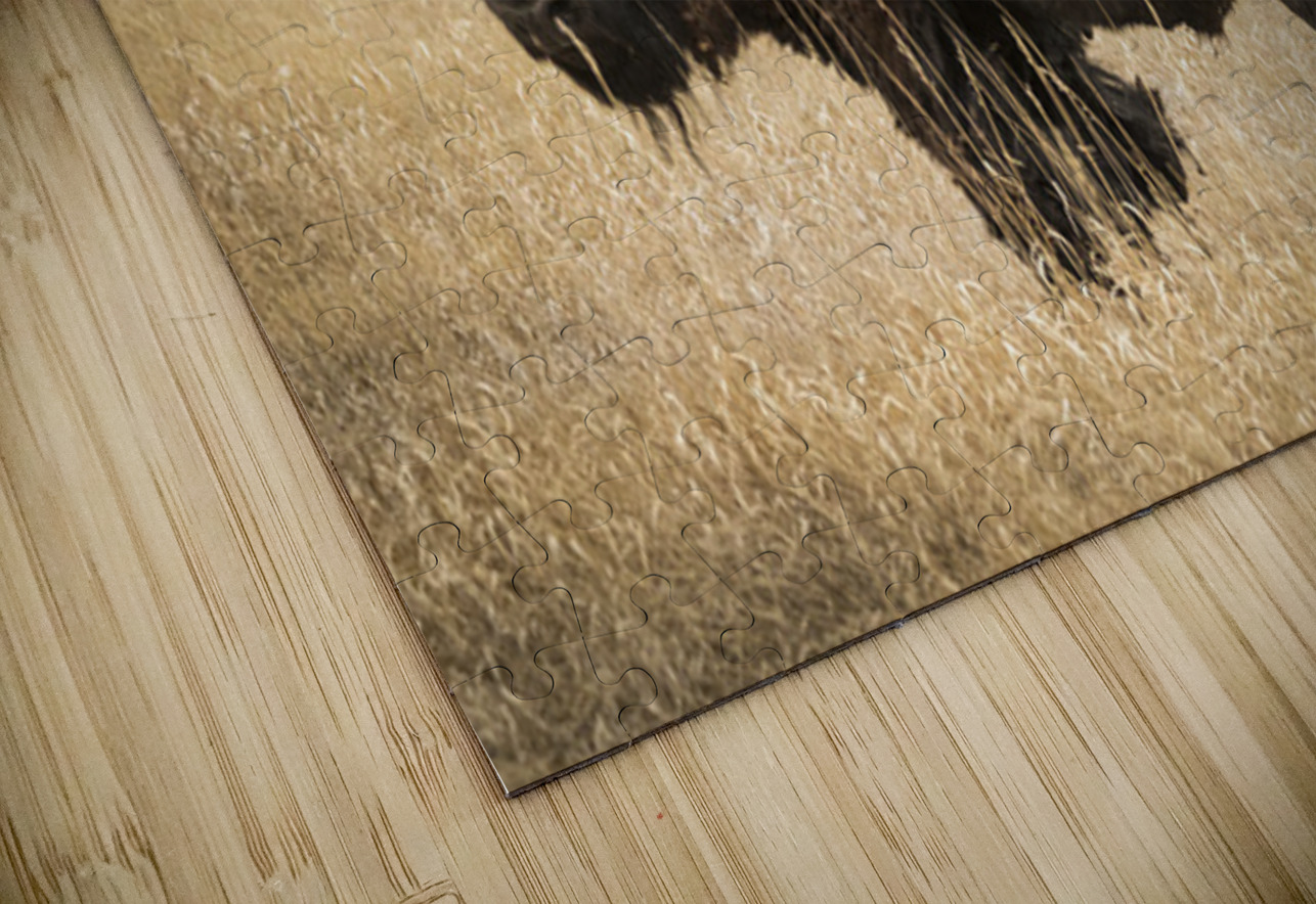 Bison of The Badlands Kelley McClure Puzzle