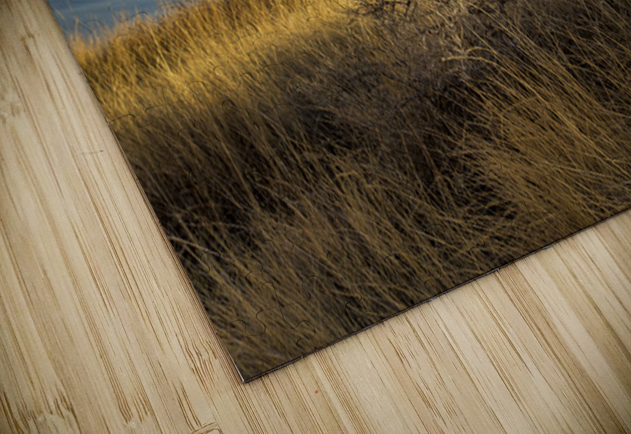 Brush In The Badlands Kelley McClure Puzzle