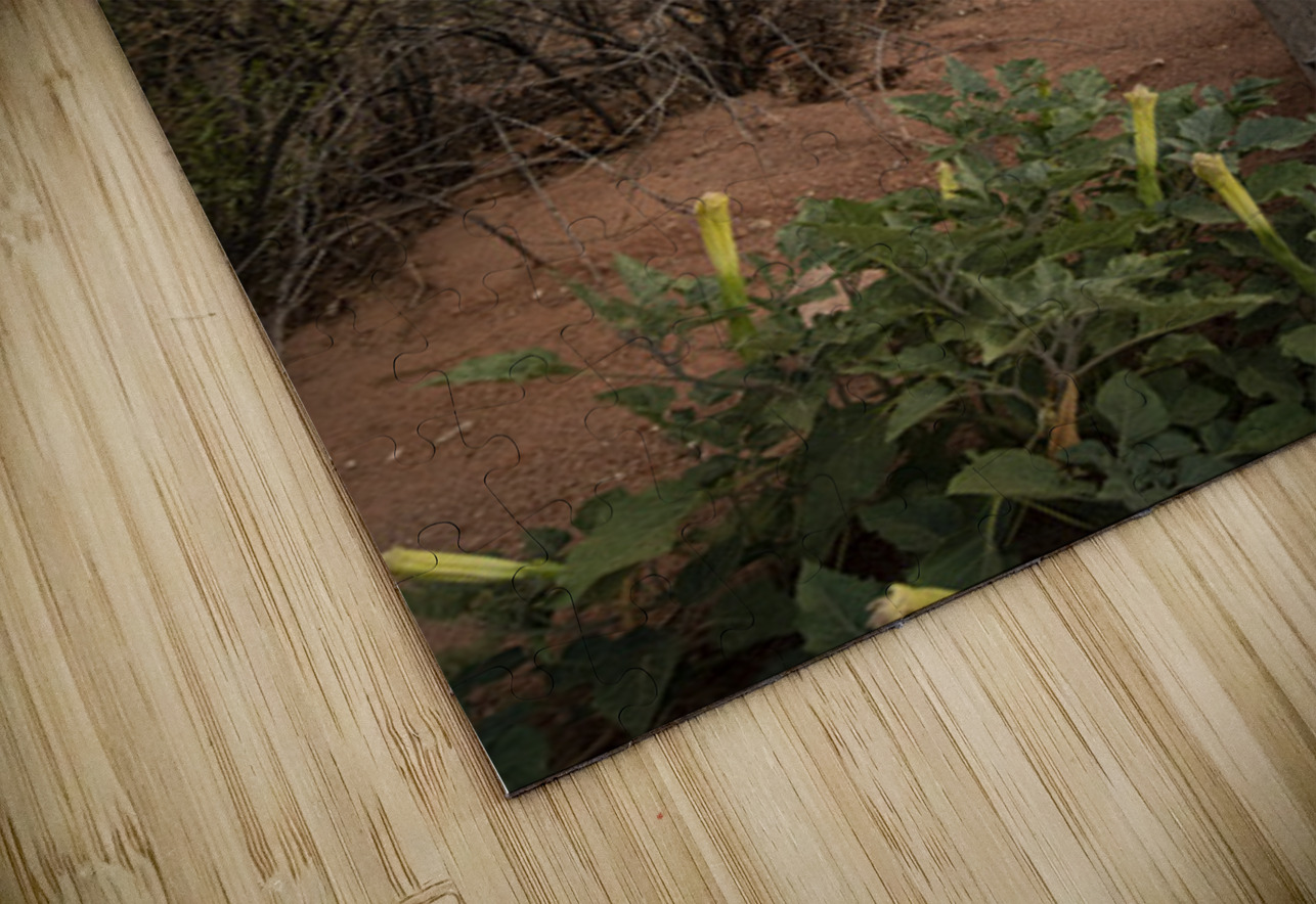 The Watchman of Zion Kelley McClure Puzzle