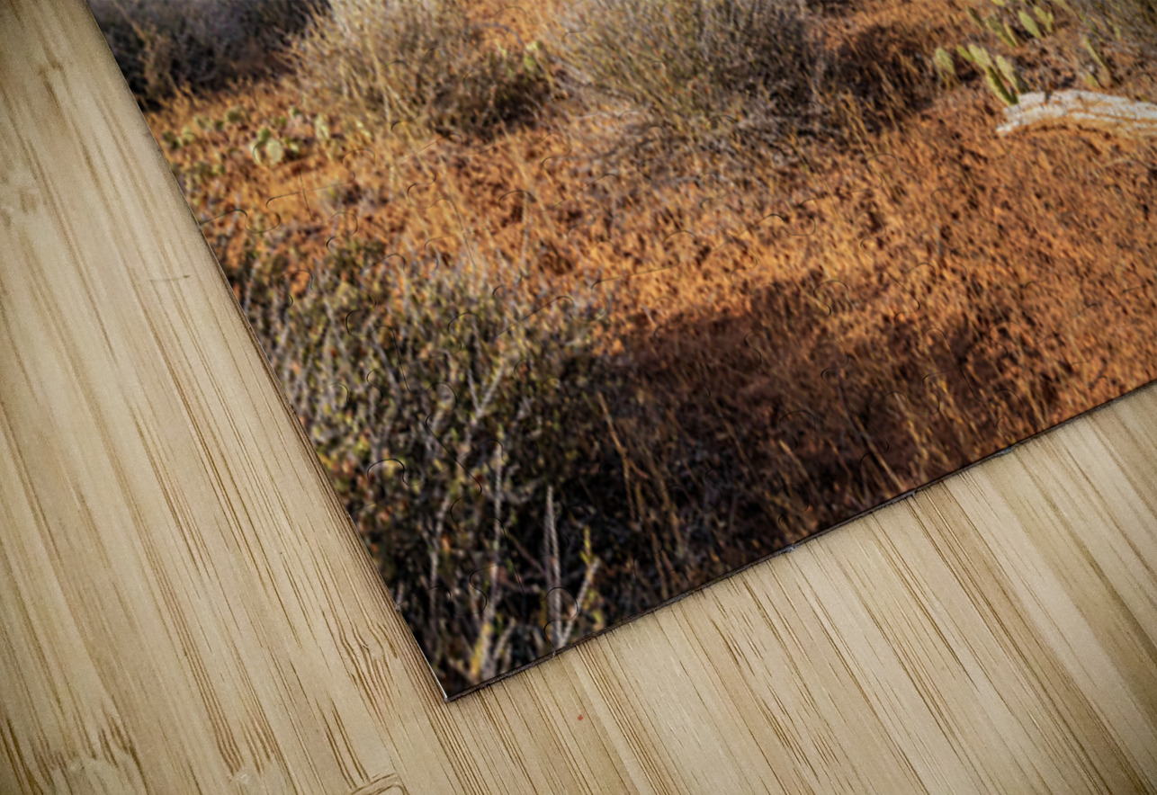 Canyonlands Theater Kelley McClure Puzzle