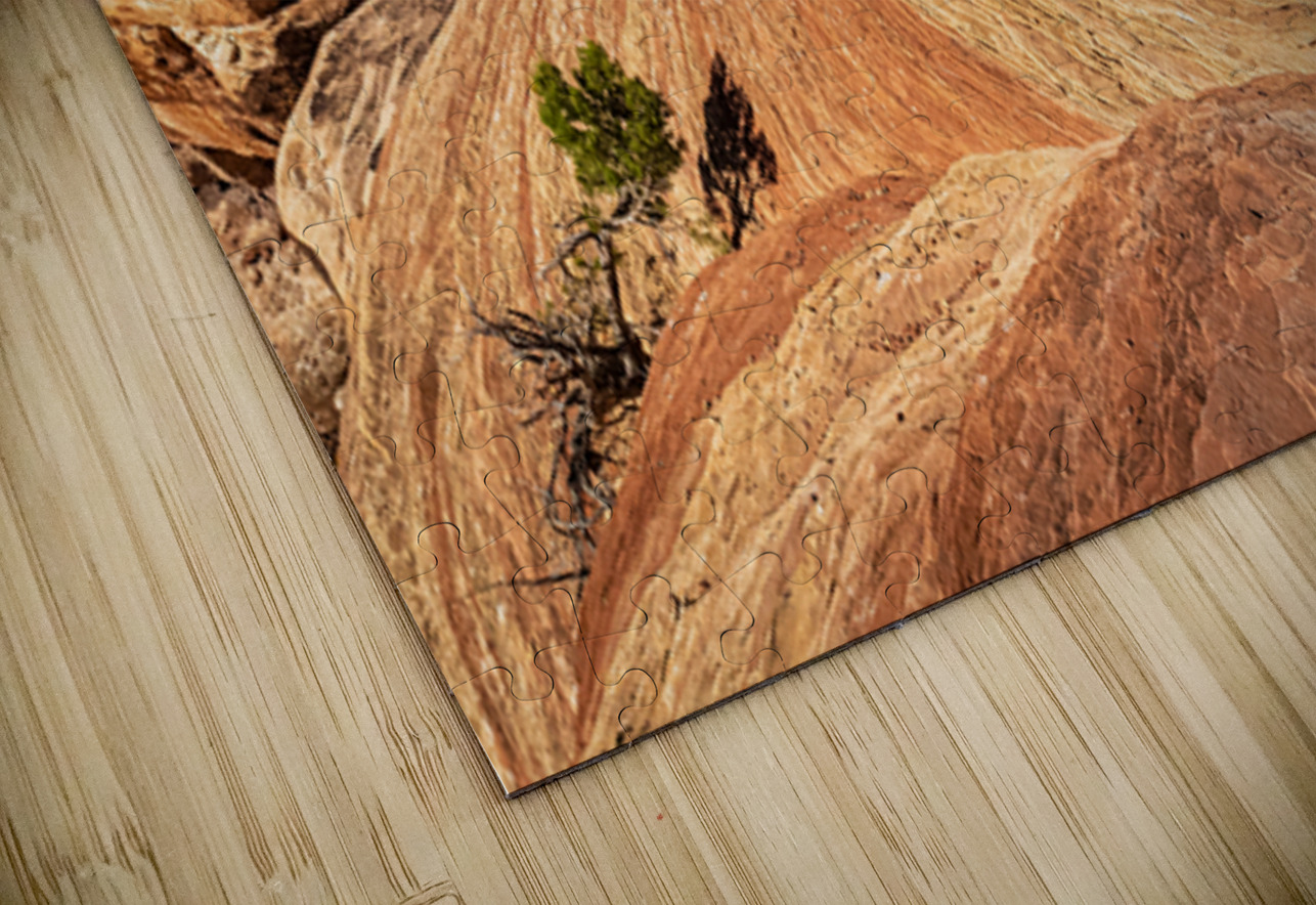 Canyonlands Outcrop Kelley McClure Puzzle