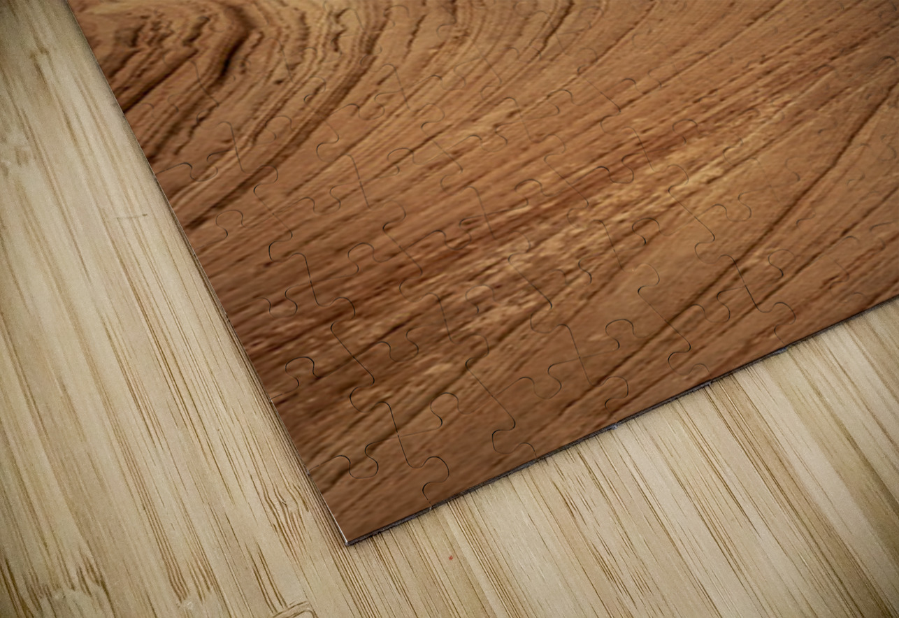 Zion Towers Kelley McClure Puzzle