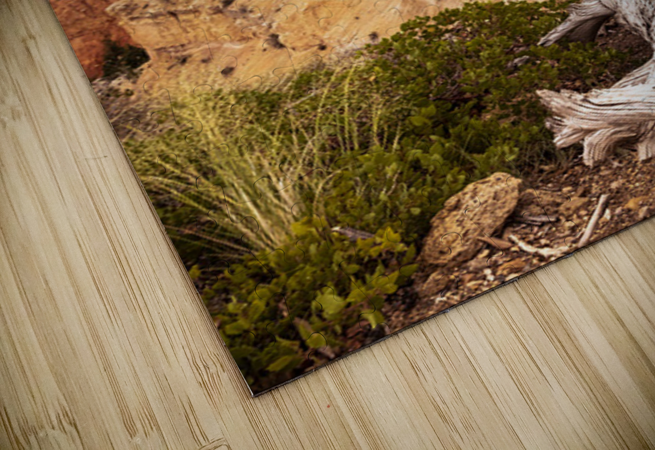 Deadwood Over Bryce Kelley McClure Puzzle