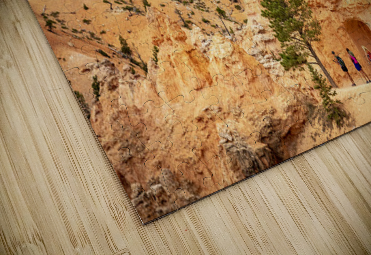 The Pathways of Bryce Kelley McClure Puzzle