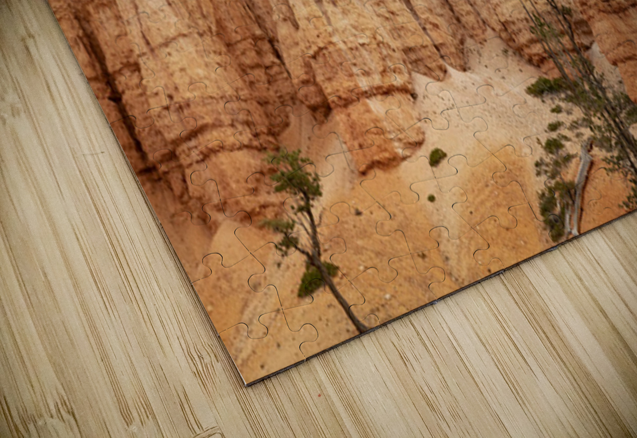 The Hoodoos of Bryce Kelley McClure Puzzle