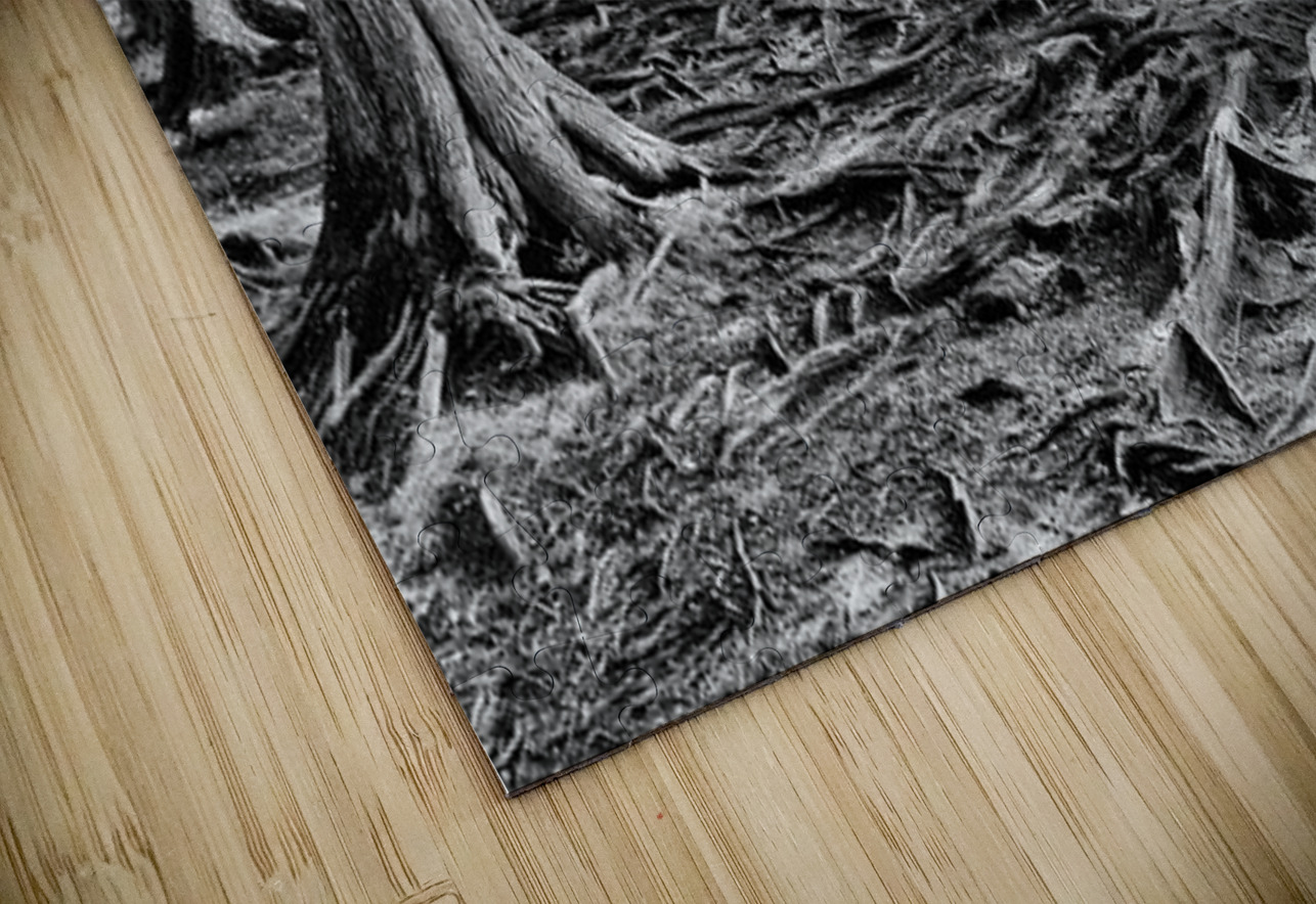 Roots Kelley McClure Puzzle