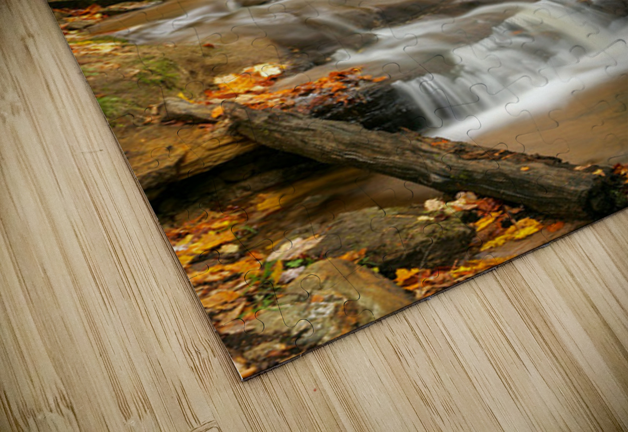 Streams of Michigan Kelley McClure Puzzle