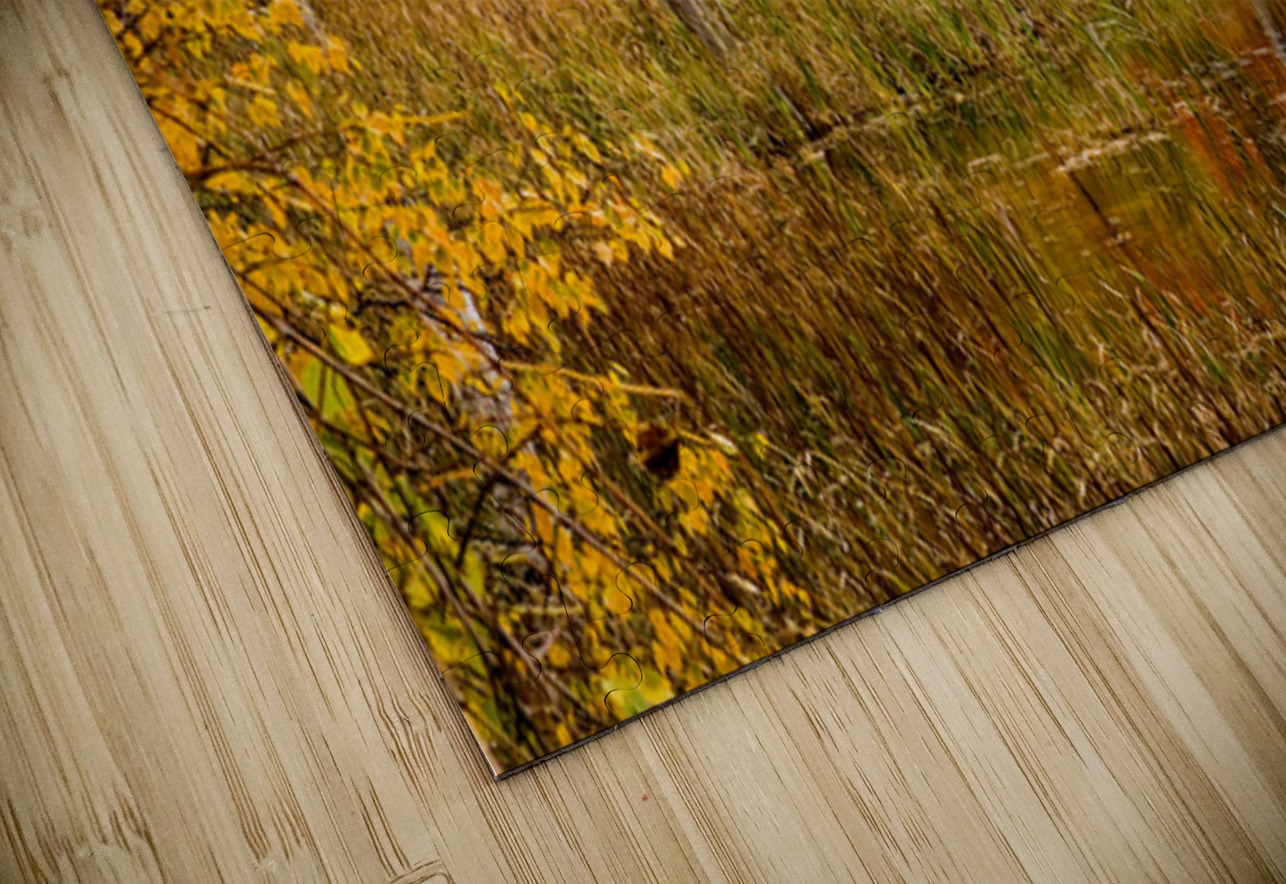 Fall of Colors Kelley McClure Puzzle