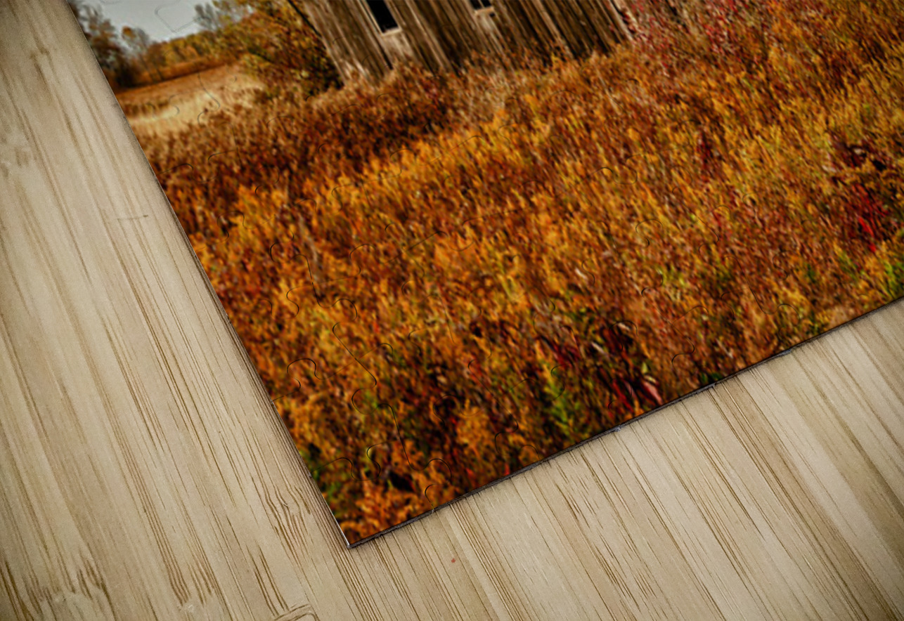 Barn For The Ages Kelley McClure Puzzle