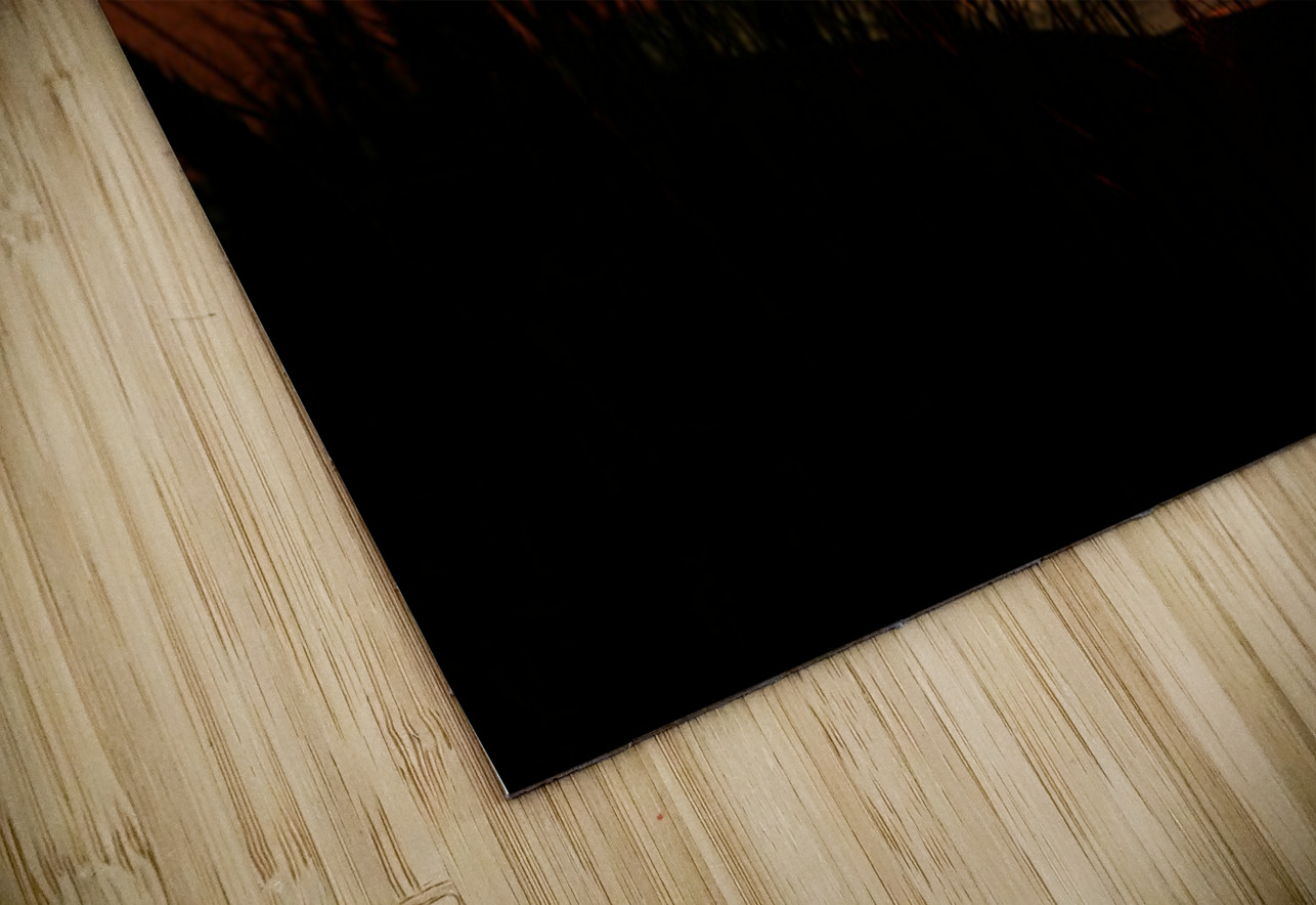 Lake Michigan Sunset Kelley McClure Puzzle