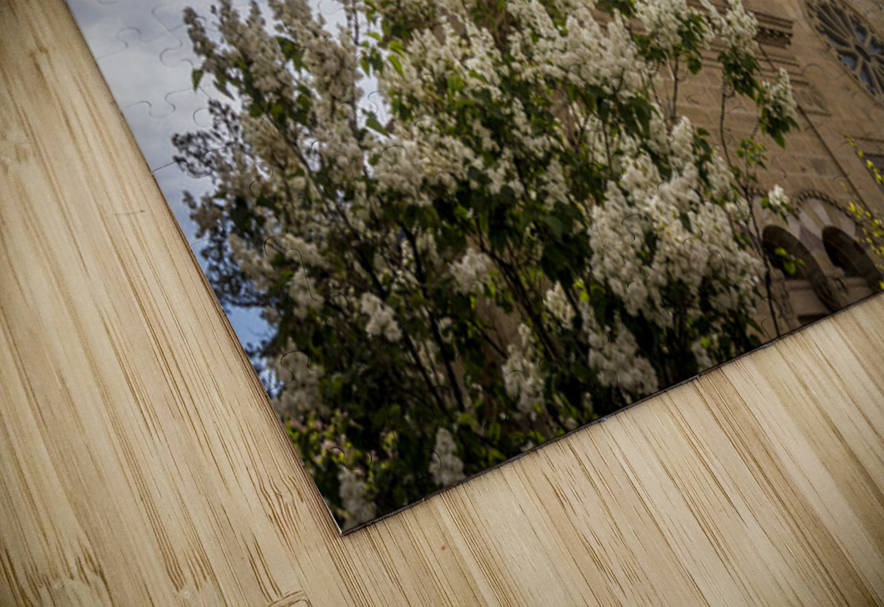 The Cathedral Basilica of St. Francis of Assisi Santa Fe Kelley McClure Puzzle