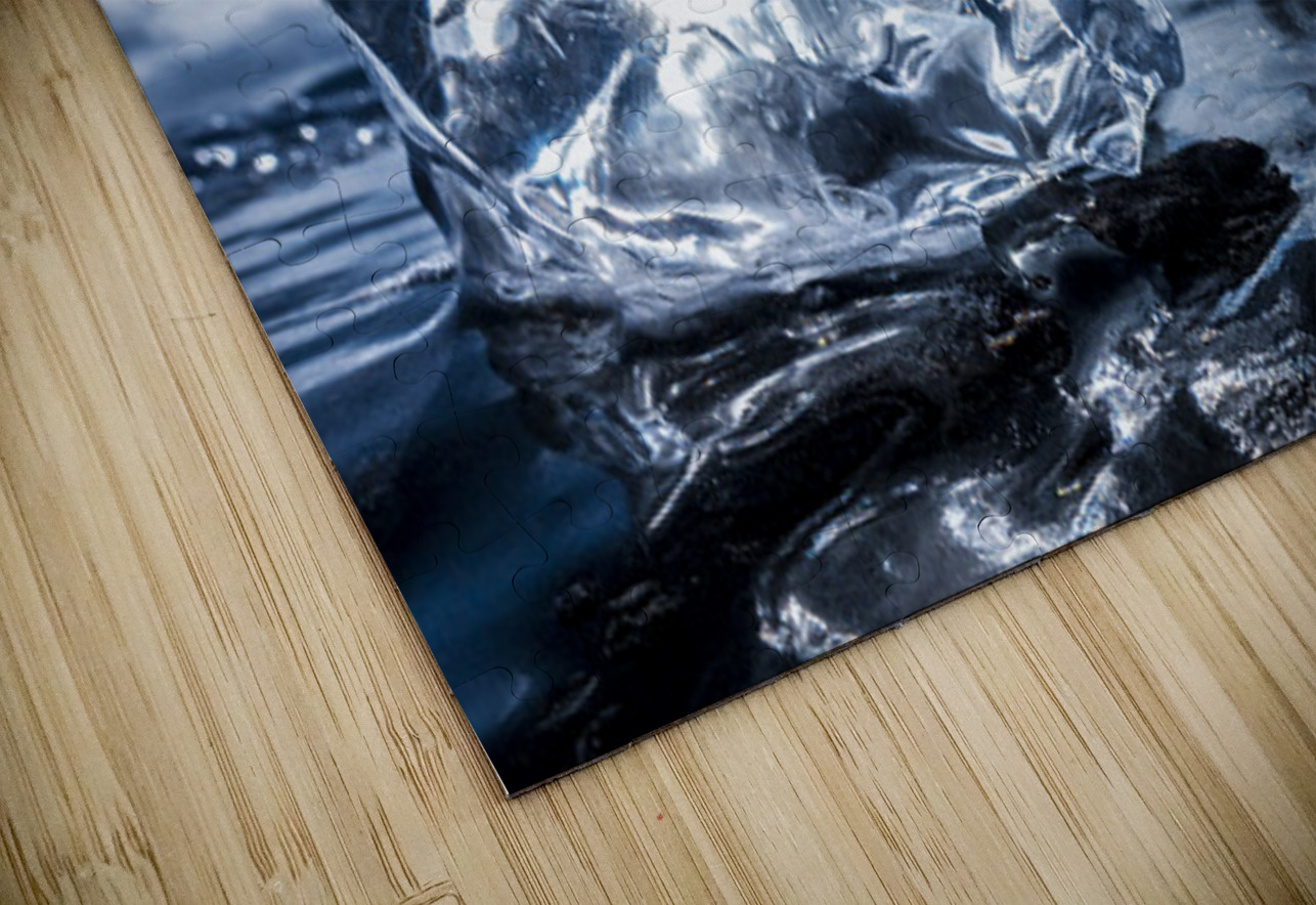 Winter Ice Kelley McClure Puzzle