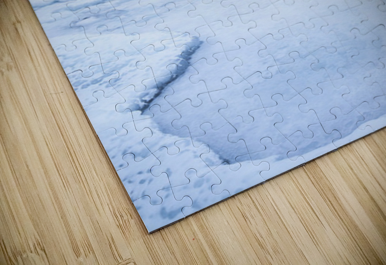 Winter Wonderland on Superior Kelley McClure Puzzle