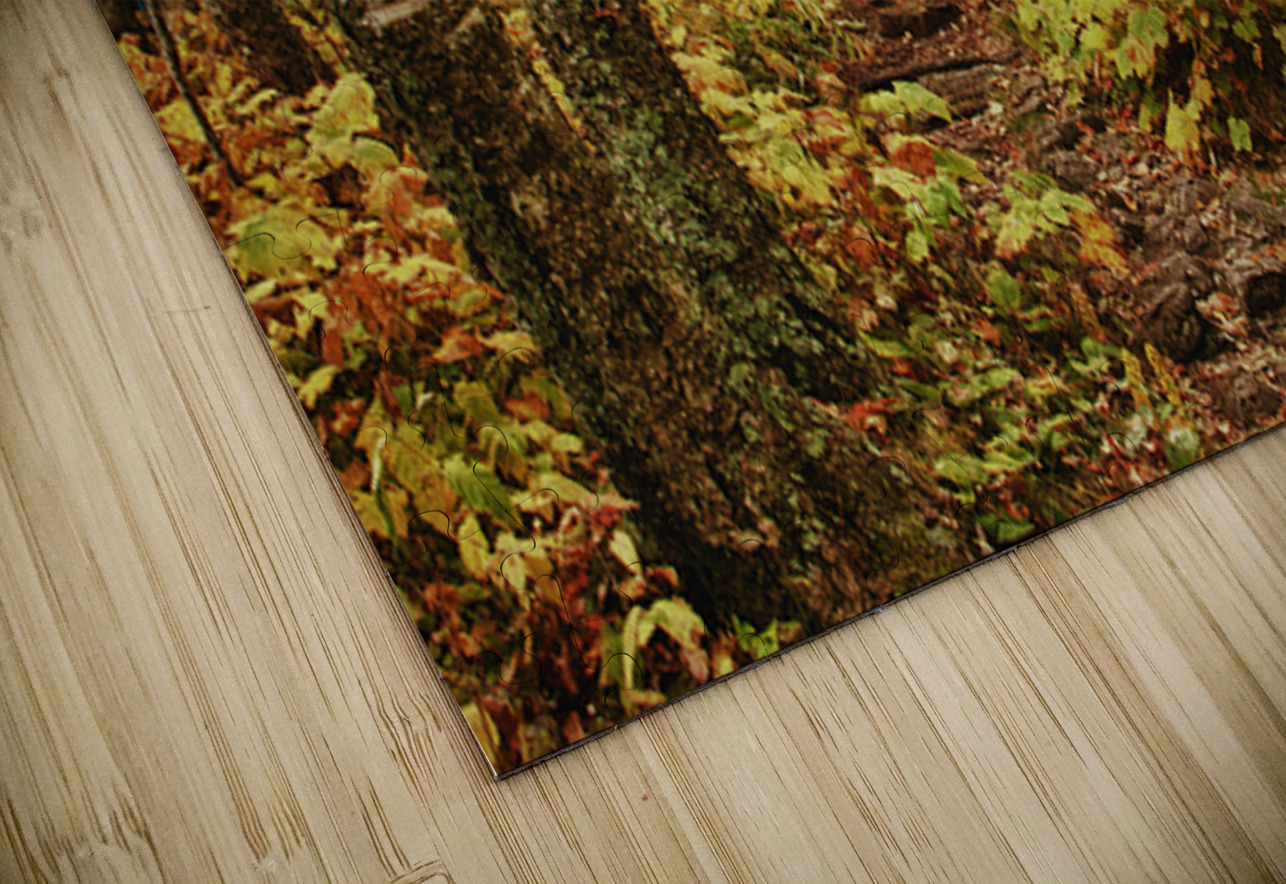 Wisconsin Fall Walk Kelley McClure Puzzle