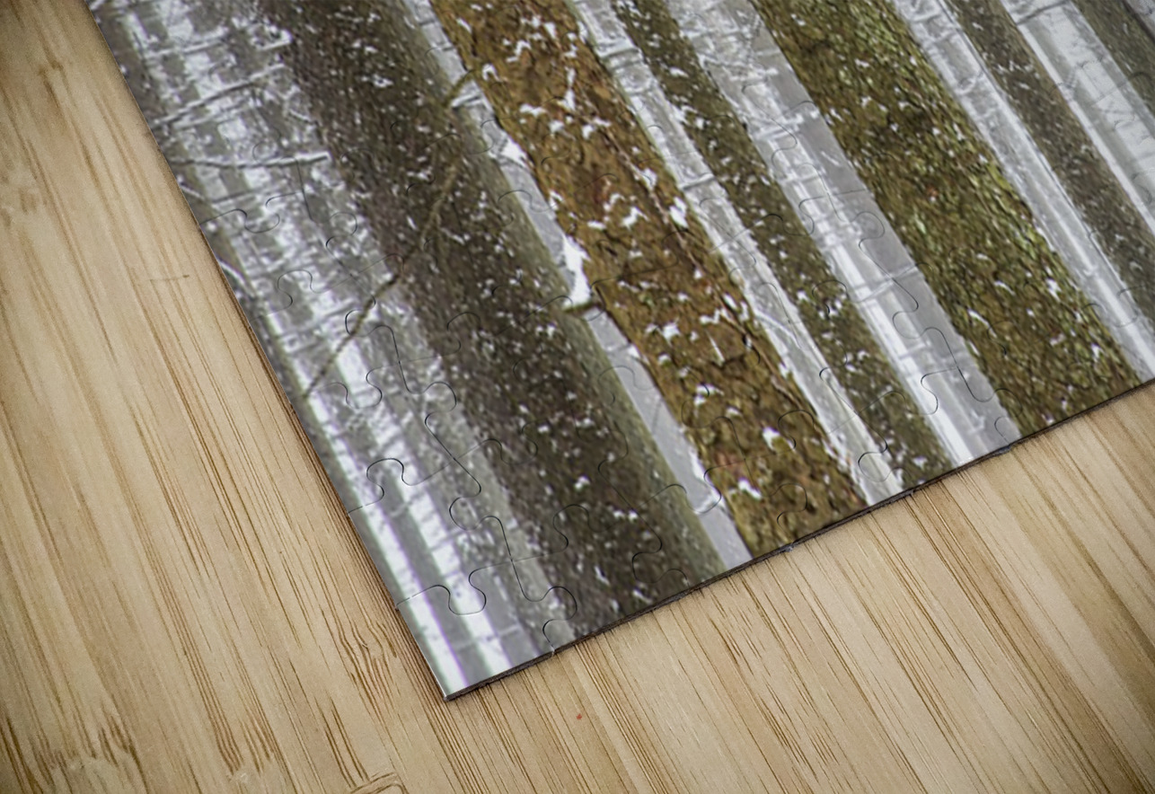 Winter Pine Forest Kelley McClure Puzzle