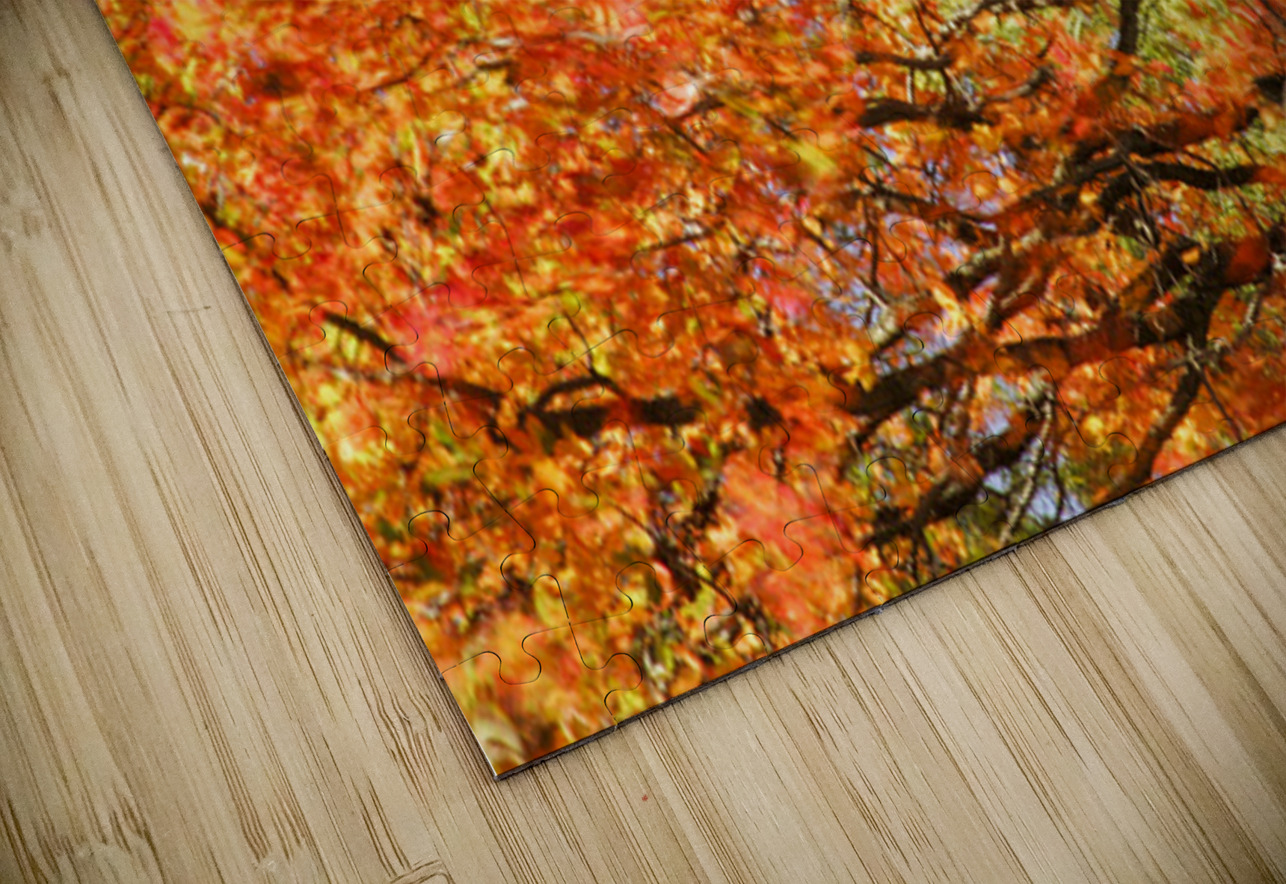 Tree on Fire Kelley McClure Puzzle