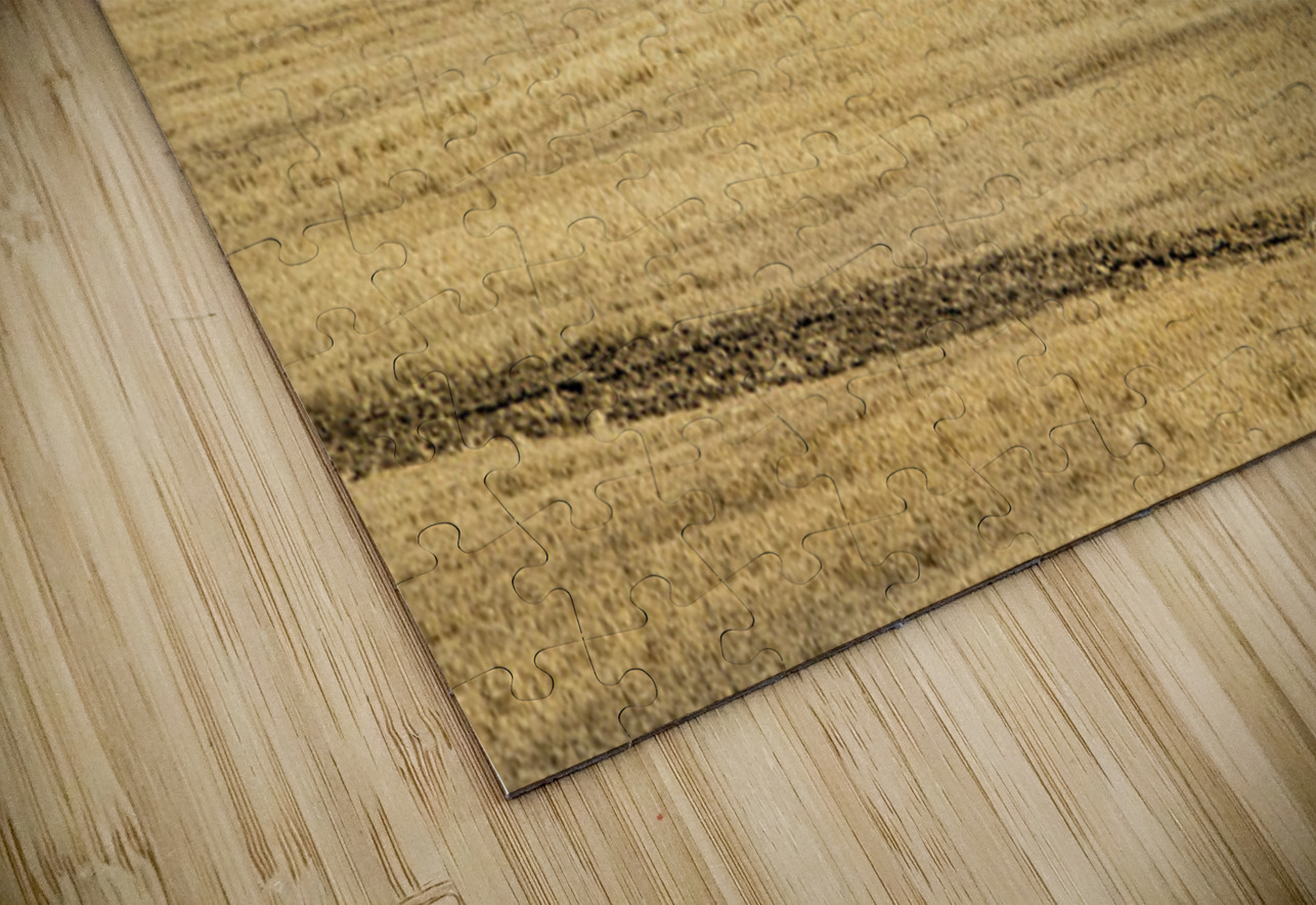 Farm Country USA Kelley McClure Puzzle