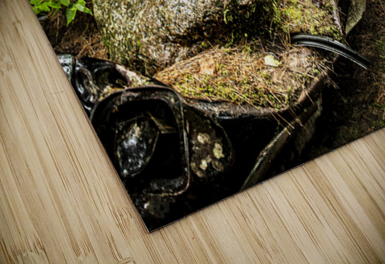 Boulder Car in Nature Kelley McClure Puzzle