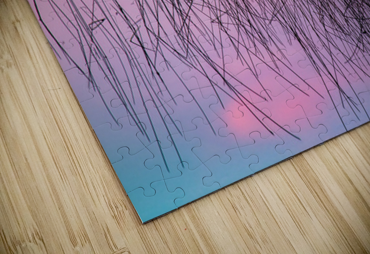 A Weedy Lake Abstract Kelley McClure Puzzle