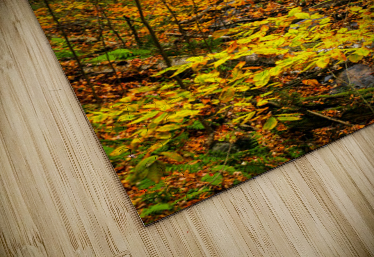 Fall in Munising Michigan Kelley McClure Puzzle