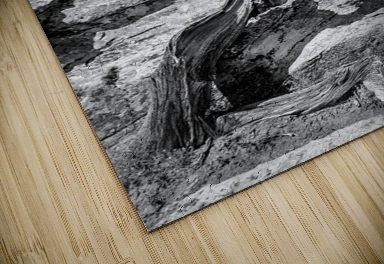 Weathered Juniper in Arches National Park Kelley McClure Puzzle