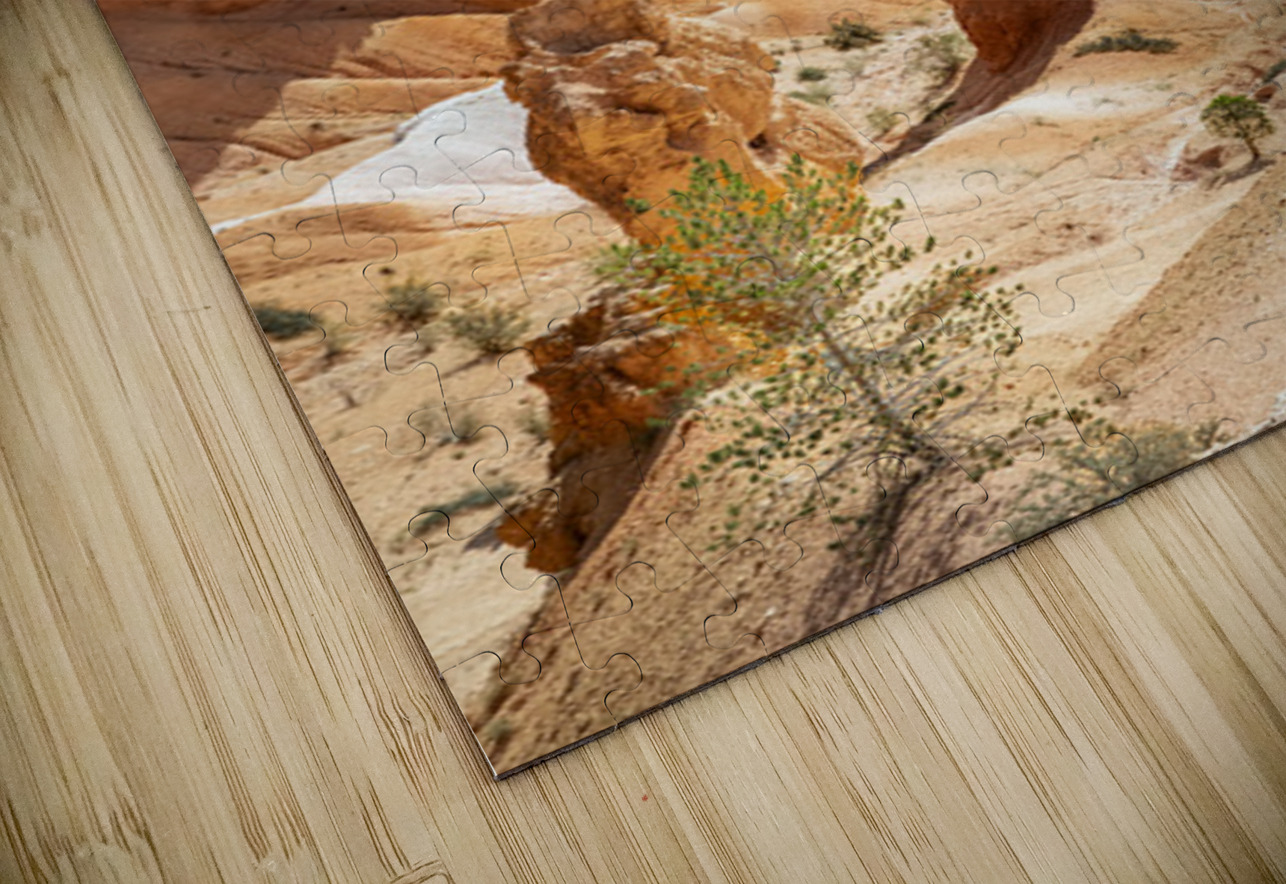 Bryce Canyon National Park Funnel Kelley McClure Puzzle