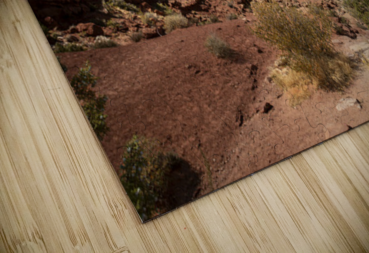 Arches National Park Wall Street Kelley McClure Puzzle