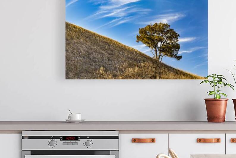 Slanted Tree by Kelley McClure