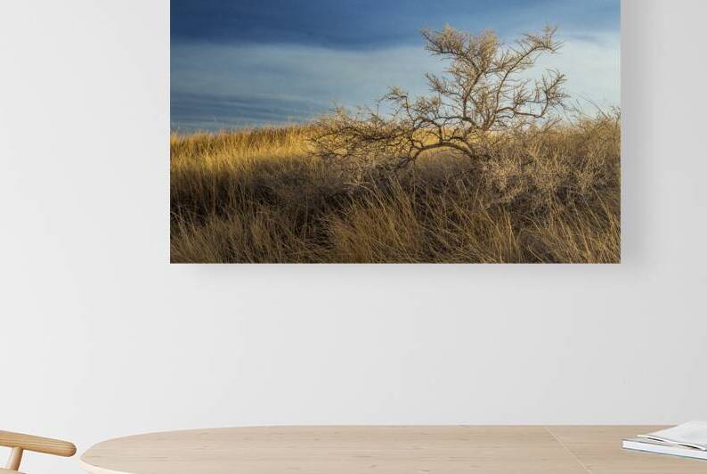 Brush In The Badlands by Kelley McClure