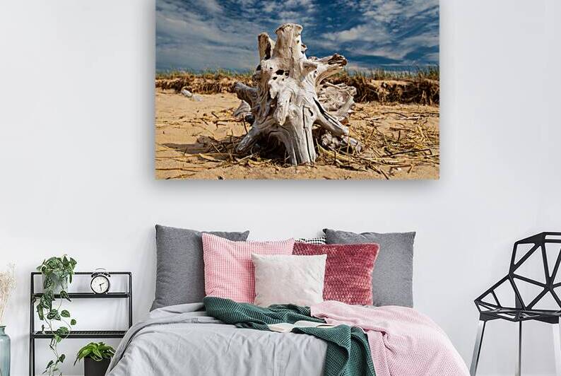 Driftwood ON the Beach by Kelley McClure