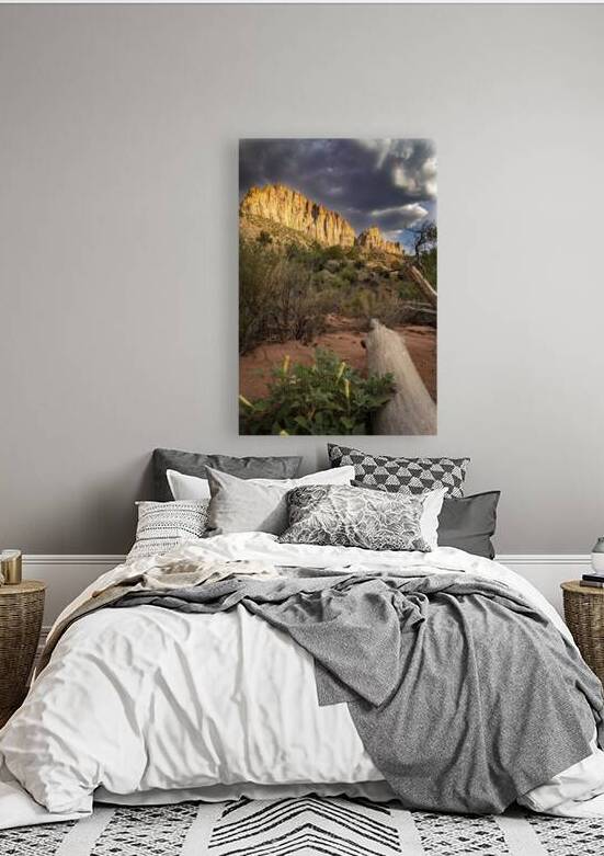 The Watchman of Zion by Kelley McClure