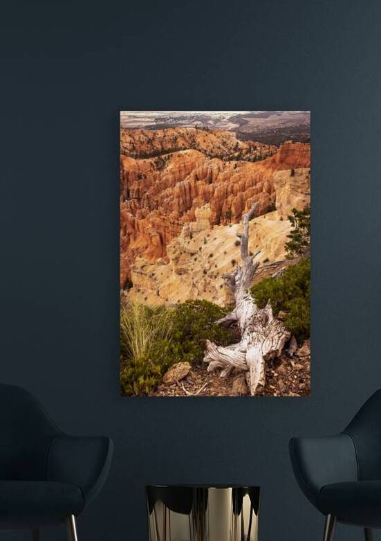 Deadwood Over Bryce by Kelley McClure