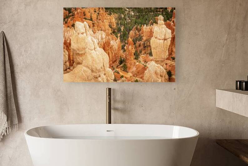 Bryce Canyon National Park by Kelley McClure