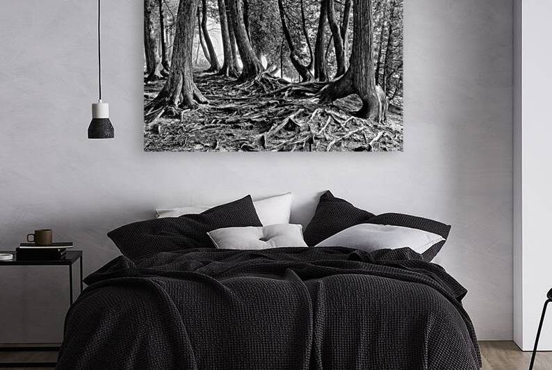 Roots by Kelley McClure