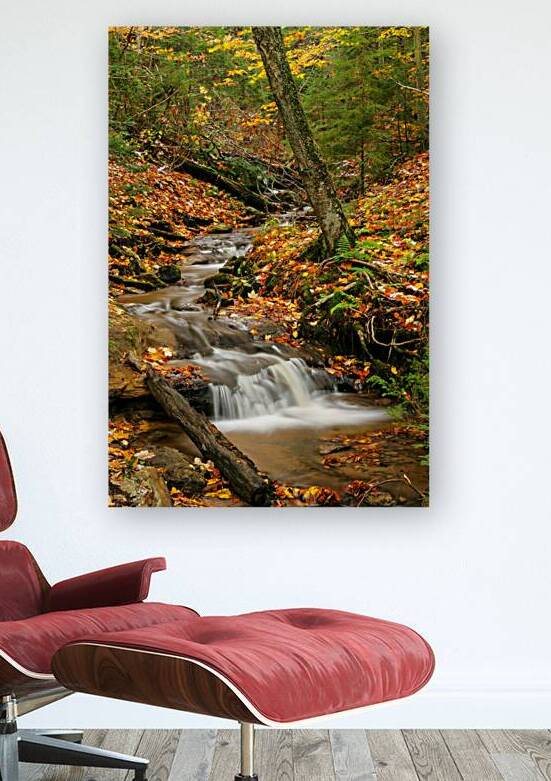 Streams of Michigan by Kelley McClure