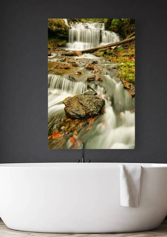 Splendors of Fall by Kelley McClure