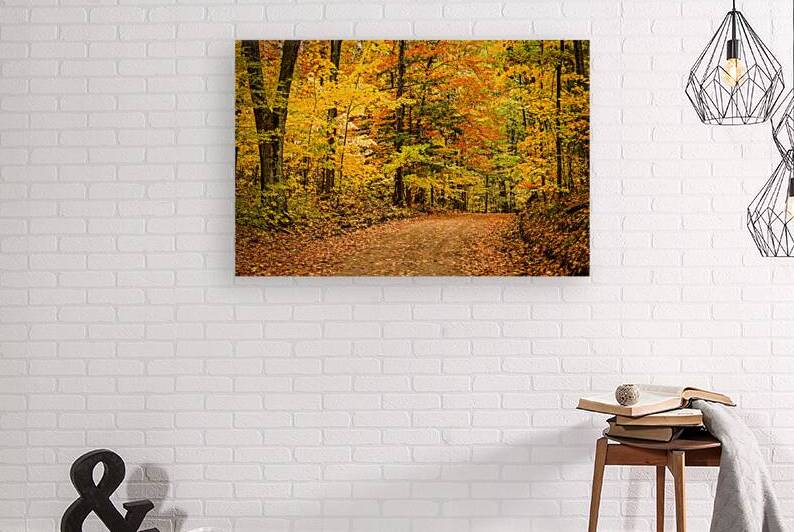 Road to Fall by Kelley McClure