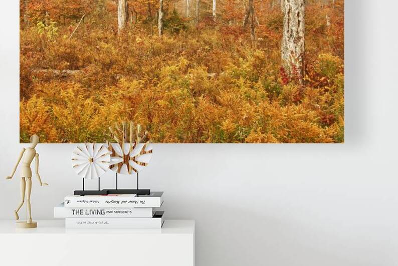 Fall Nature In Door County Wisconsin by Kelley McClure