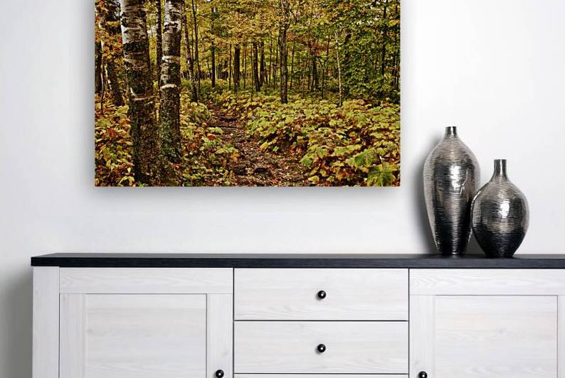 Wisconsin Fall Walk by Kelley McClure