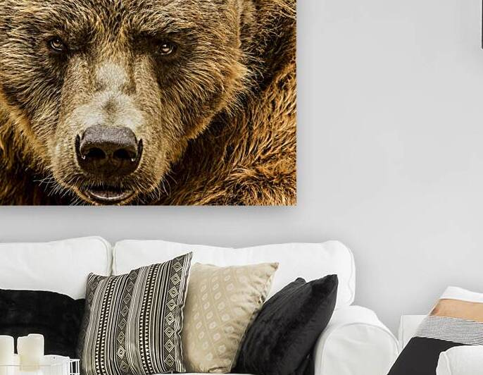 Grizzly Stare by Kelley McClure