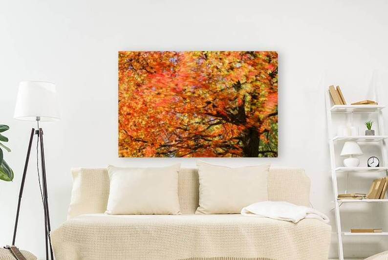 Tree on Fire by Kelley McClure