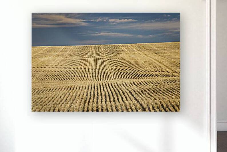 South Dakota Farm Country by Kelley McClure