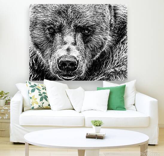 Grizzly Stare B&W by Kelley McClure