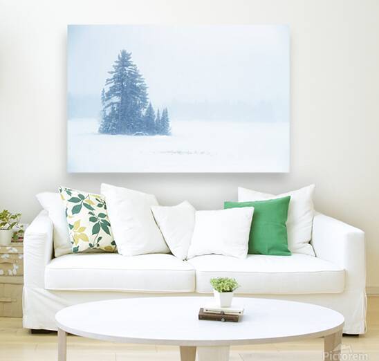 Snowy Frozen Minnesota Island by Kelley McClure